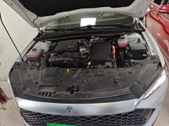 BYD Qin PLUS Glory Edition DM-i 55KM Leading - ფოტო 20