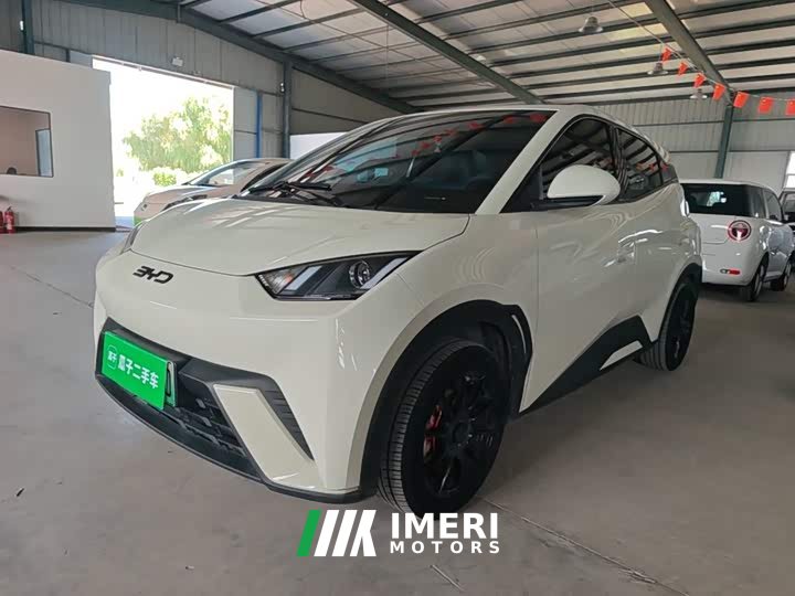 BYD Seagull Glory Edition 305km Vitality Version - ავტომობილი ჩინეთიდან
