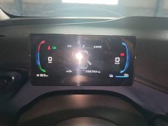 BYD Seagull Glory Edition 305km Vitality Version - ფოტო 12