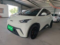 BYD Seagull Glory Edition 305km Vitality Version - ფოტო 2