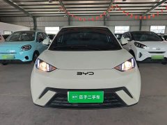 BYD Seagull Glory Edition 305km Vitality Version - ფოტო 3
