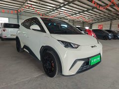 BYD Seagull Glory Edition 305km Vitality Version - ფოტო 4