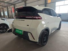 BYD Seagull Glory Edition 305km Vitality Version - ფოტო 7