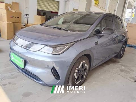 2025 BYD Dolphin Smart Drive 420km Freedom Edition - car from China