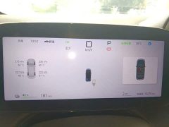 BYD Dolphin Smart Drive 420km Freedom Edition - ფოტო 12