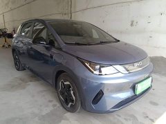 BYD Dolphin Smart Drive 420km Freedom Edition - ფოტო 4