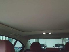 BMW 3 Series 320Li M Sport Package - ფოტო 18