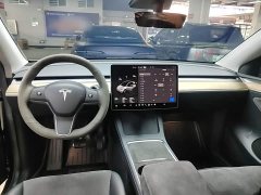 Tesla Model Y Rear-Wheel Drive - ფოტო 10