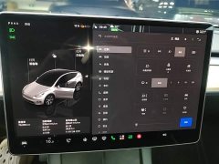 Tesla Model Y Rear-Wheel Drive - ფოტო 12