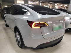 Tesla Model Y Rear-Wheel Drive - ფოტო 5