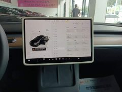 Tesla Model 3 2022 Rear-Wheel Drive - ფოტო 13