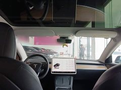 Tesla Model 3 2022 Rear-Wheel Drive - ფოტო 18