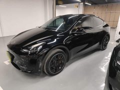 Tesla Model Y Rear-Wheel Drive - ფოტო 2