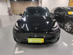 Tesla Model Y Rear-Wheel Drive - ფოტო 3