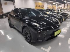 Tesla Model Y Rear-Wheel Drive - ფოტო 4