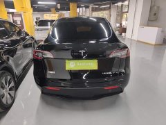Tesla Model Y Rear-Wheel Drive - ფოტო 6