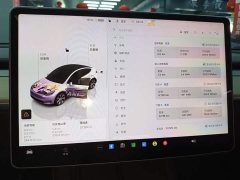 Tesla Model Y 2022 Facelift Rear-Wheel Drive - ფოტო 12