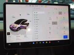 Tesla Model Y 2022 Facelift Rear-Wheel Drive - ფოტო 13