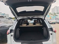Wuling Xingguang S 510km Flagship - ფოტო 19