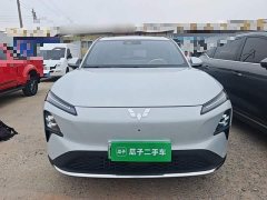 Wuling Xingguang S 510km Flagship - ფოტო 3