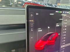 Tesla Model 3 2023 Rear-Wheel Drive - ფოტო 14