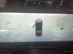 XPeng P5 500Plus - ფოტო 12