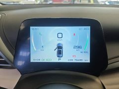 BYD Yuan Plus Champion Edition 510KM Transcendent - ფოტო 12