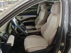 BYD Yuan Plus Champion Edition 510KM Transcendent - ფოტო 15