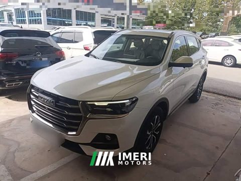 2022 Haval H6 2021 National Trend Edition 1.5T Automatic Urban Version - ავტომობილი ჩინეთიდან