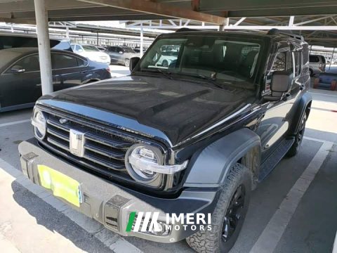 2022 Tank 300 2021 Off-Road Edition 2.0T Conqueror - ავტომობილი ჩინეთიდან