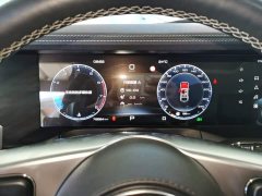 Tank 300 2021 Off-Road Edition 2.0T Conqueror - ფოტო 12