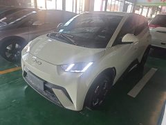 BYD Seagull 2025 305km Freedom Edition - ფოტო 2