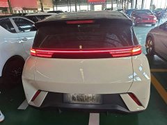 BYD Seagull 2025 305km Freedom Edition - ფოტო 6