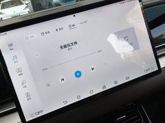 BYD Han DM-i Champion Edition 121KM Luxury - ფოტო 13