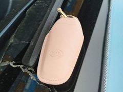 BYD Han DM-i Champion Edition 121KM Luxury - ფოტო 9