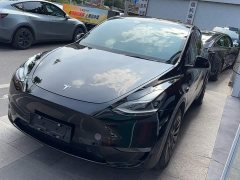 Tesla Model Y Long Range All-Wheel Drive 3D7 - ფოტო 1