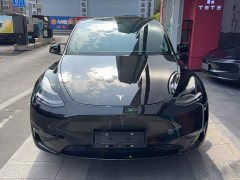 Tesla Model Y Long Range All-Wheel Drive 3D7 - ფოტო 3