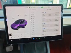 Tesla Model Y Long Range All-Wheel Drive 3D7 - ფოტო 8
