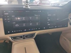 Deepal Deep Blue S09 Four-Wheel Drive Ultra Premium Edition - ფოტო 13