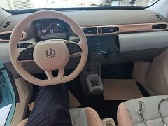 Leapmotor Leapo T03 403 Comfort Edition - ფოტო 10