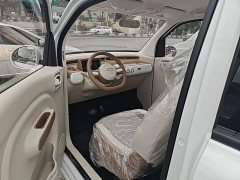 FAW Besturn Xiaoma 222km Cute Horse - ფოტო 16