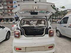 FAW Besturn Xiaoma 222km Cute Horse - ფოტო 19