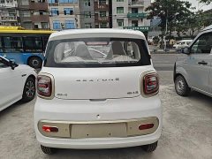 FAW Besturn Xiaoma 222km Cute Horse - ფოტო 6