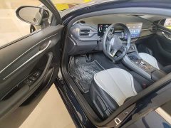BYD Destroyer 05 Glory Edition DM-i 55KM Luxury - ფოტო 16
