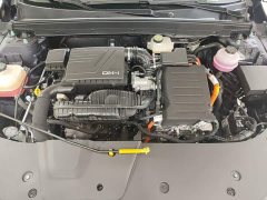 BYD Destroyer 05 Glory Edition DM-i 55KM Luxury - ფოტო 20