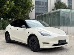 Tesla Model Y Standard Range RWD - ფოტო 11