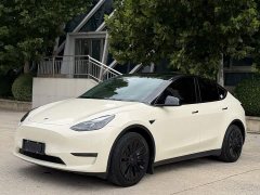 Tesla Model Y Standard Range RWD - ფოტო 2