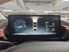 XPeng P5 460E - ფოტო 12