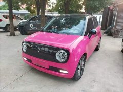 ORA Black Cat 351km Luxury - ფოტო 1