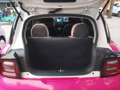 ORA Black Cat 351km Luxury - ფოტო 19